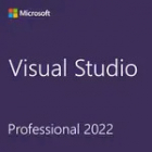 Microsoft Visual Studio Professional